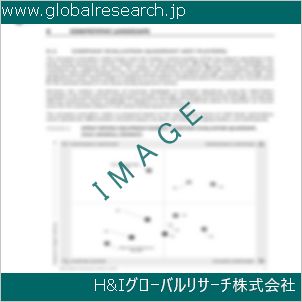 グローバルリサーチ調査資料のイメージ